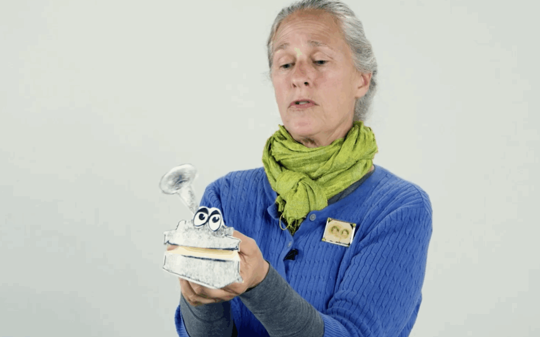 We’re On the Move (Through History)!