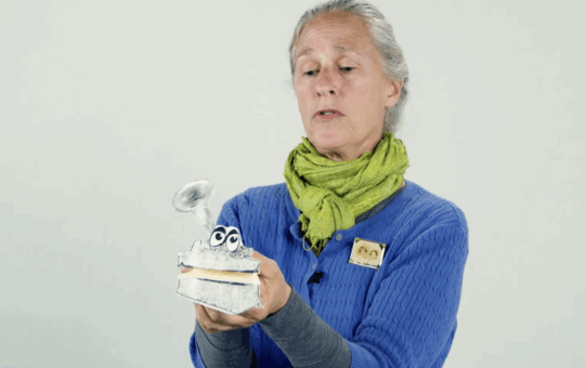 We're On the Move Through History